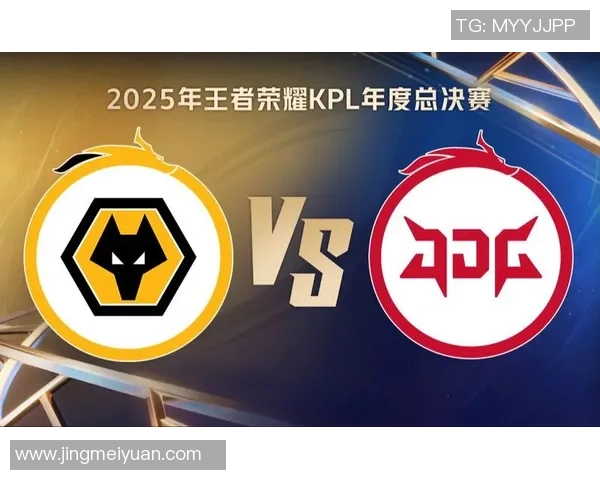 王者荣耀评论分析JDG战队防反策略的成败得失与未来展望