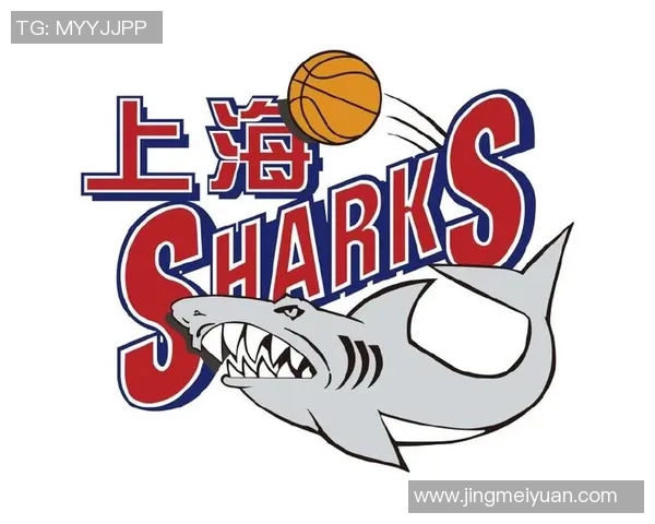 上海篮球队中路突破革新探讨与未来发展展望 上海篮球队中路突破革新探讨与未来发展展望